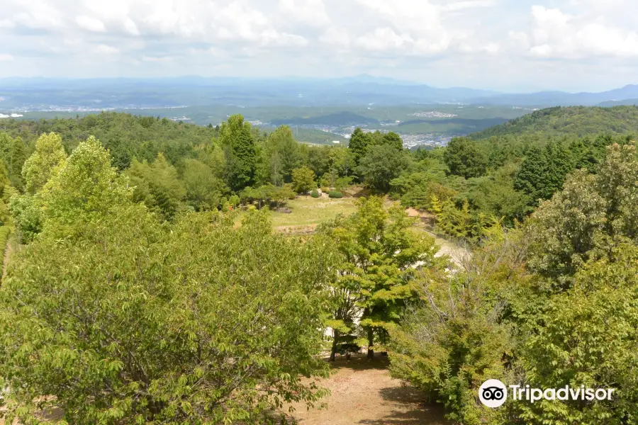 Kasahara Forest of Shiomi