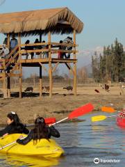 Parque Safari Chile