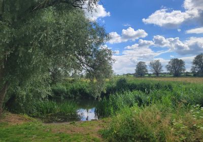 Barnwell Country Park