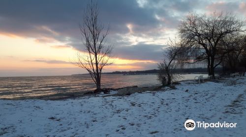 Frenchman's Bay Marina