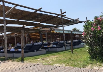 Umbrellas Beach Bar