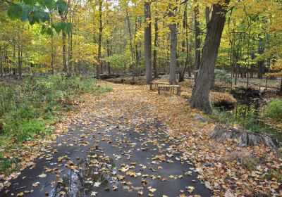 Stage Nature Center