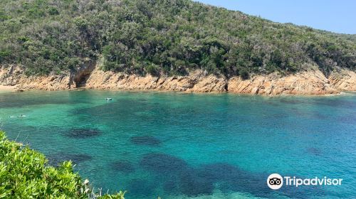 Spiaggia della Lamaia