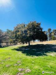 San Luis Reservoir State Recreation Area