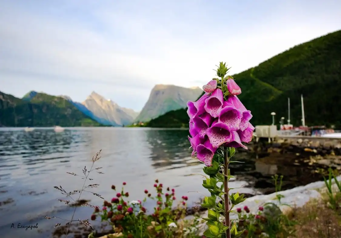 Hotels near منطقة أوسلوماركا