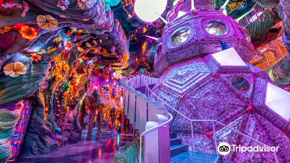 Meow Wolf Denver's Convergence Station