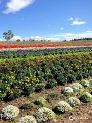 Furano Jam Garden