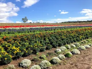 Furano Jam Garden