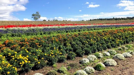 Furano Jam Garden