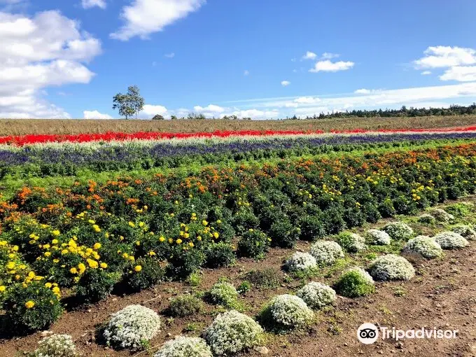 Furano Jam Garden