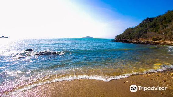Tartaruga Beach