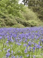 Moor Copse Nature Reserve