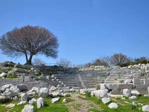 Ancient City of Teos