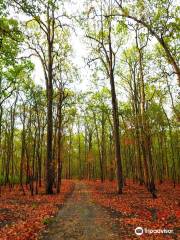 Rajaji National Park