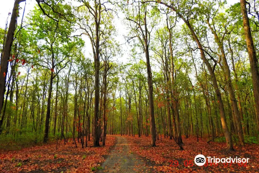 Rajaji National Park