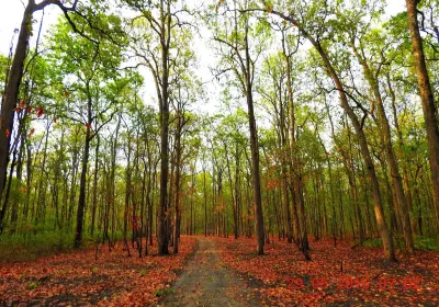 Dehradun