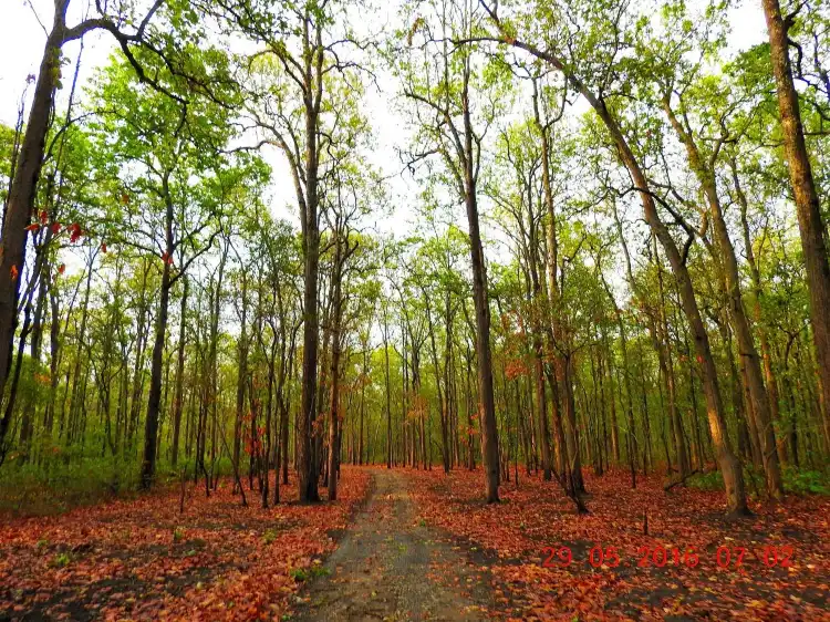 Hotels near Maldevta, Picknic Spot, Dehradun