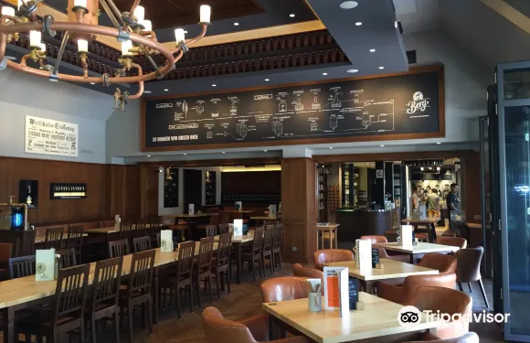 多瑙河畔埃英根