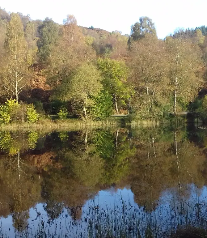 Aberfoyle