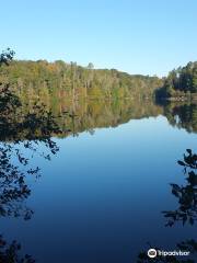 Fairy Stone State Park