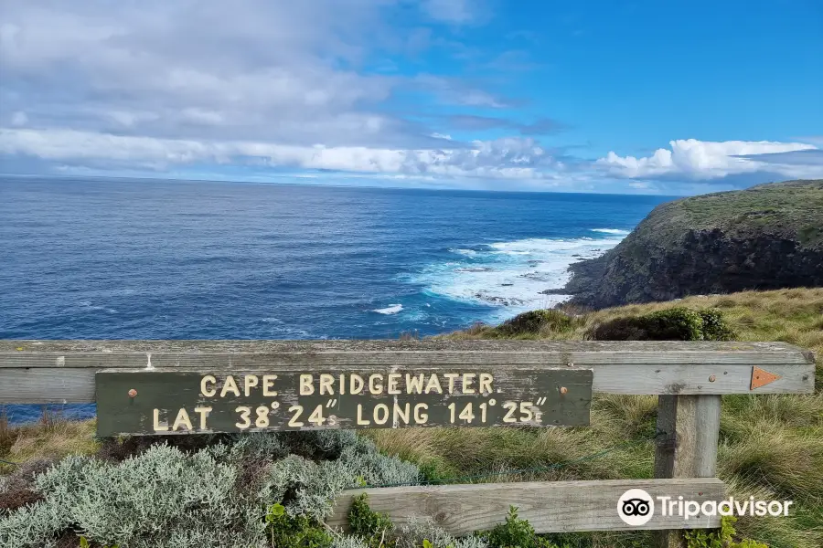 Cape Bridgewater Seal Walk