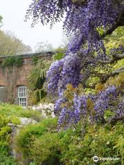 National Trust - Trelissick Garden