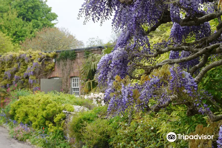 National Trust - Trelissick Garden