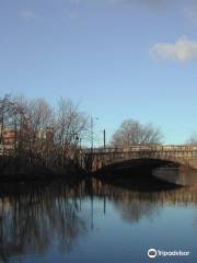 Charles River Greenway Bridge