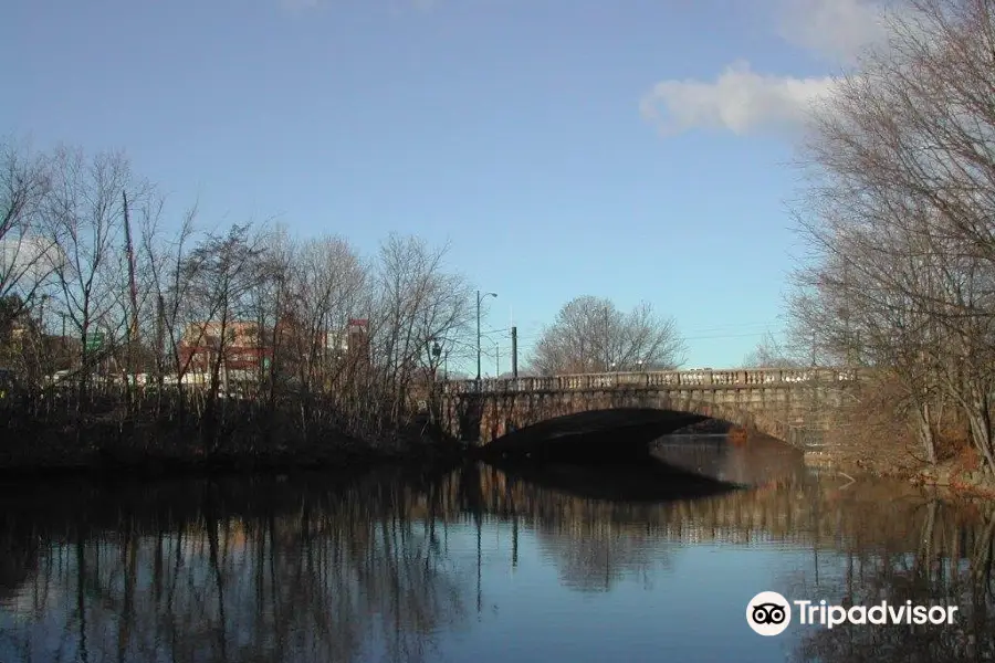 Charles River Greenway Bridge