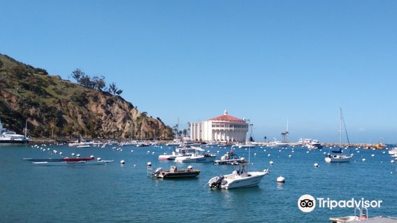 Avalon