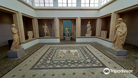 Archaeological Museum of Kos