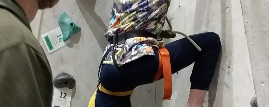 Vertical Reality Climbing