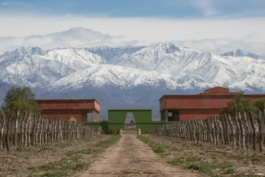 Ernesto Catena Vineyards