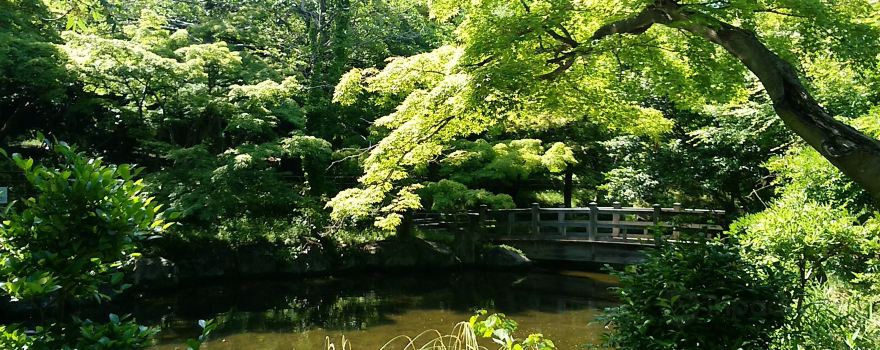 Oyama Ryokuchi Park