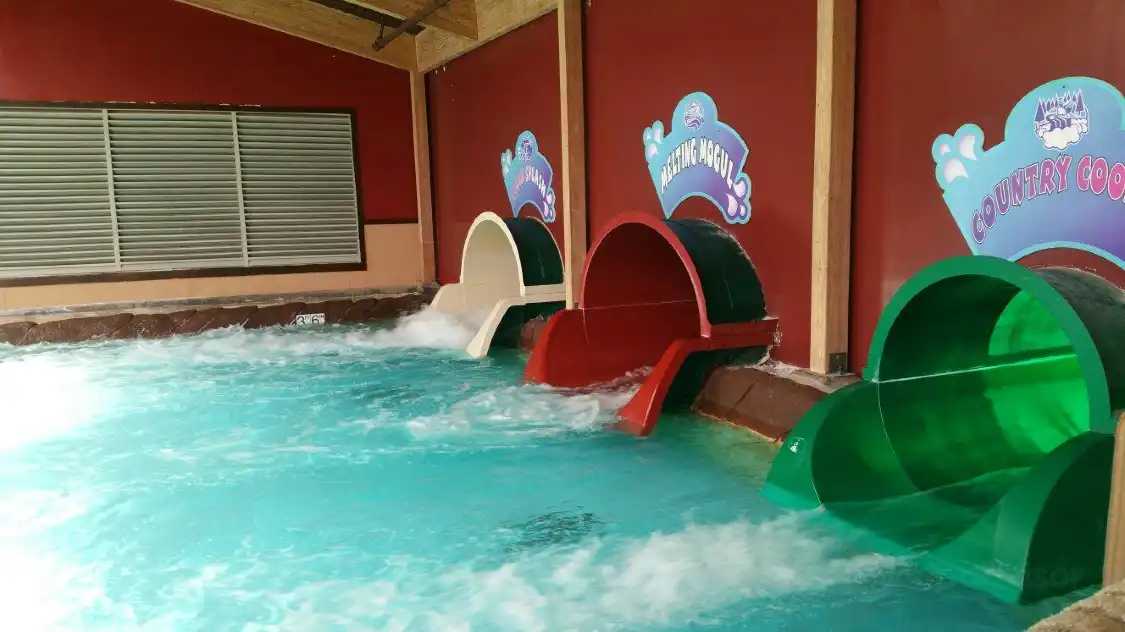 Massanutten Indoor WaterPark附近的飯店