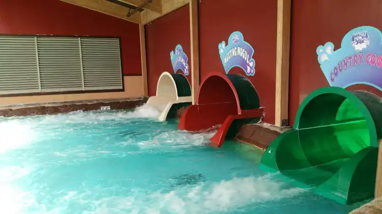 Hotels in McGaheysville