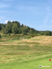 Golf Club Sterngartl - high above Linz