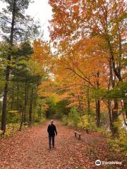 Morrison Dam Conservation Area