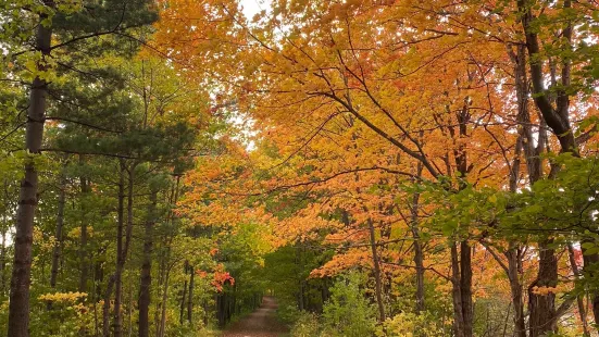 Morrison Dam Conservation Area