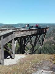 Aussichtsplattform Ellbachseeblick