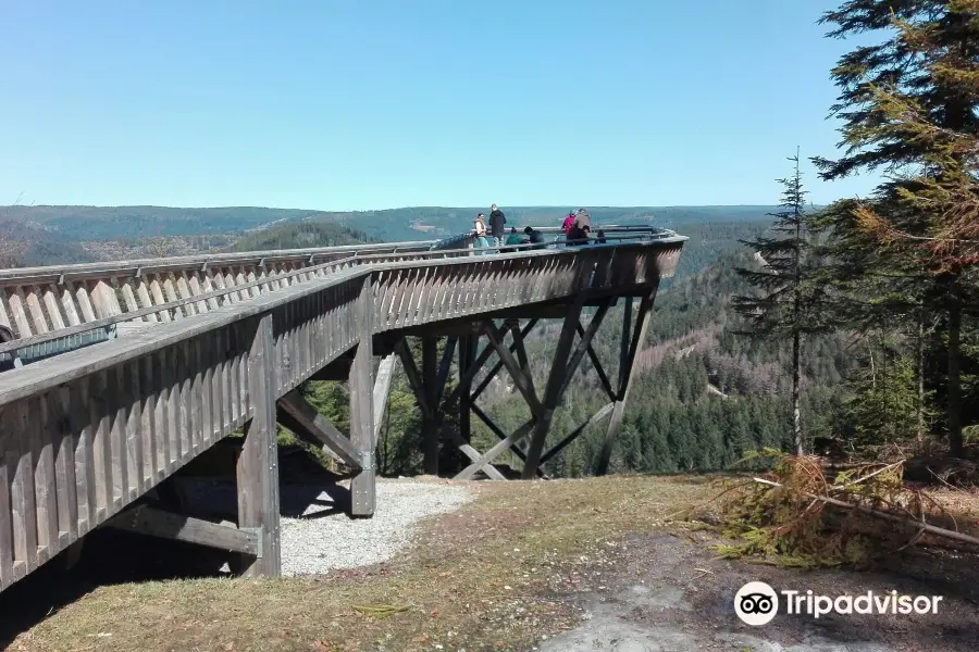 Aussichtsplattform Ellbachseeblick