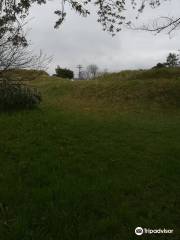 Sakuradani Burial Mounds