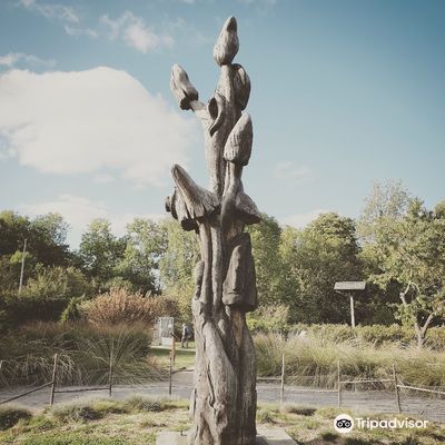 Public Garden