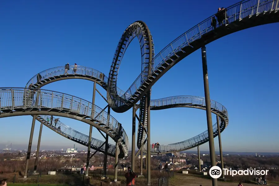 Tiger & Turtle – Magic Mountain