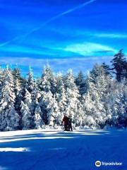 Timberline Mountain