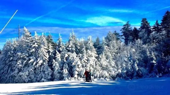 Timberline Mountain