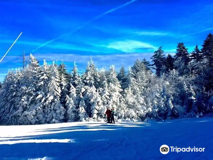 Timberline Mountain