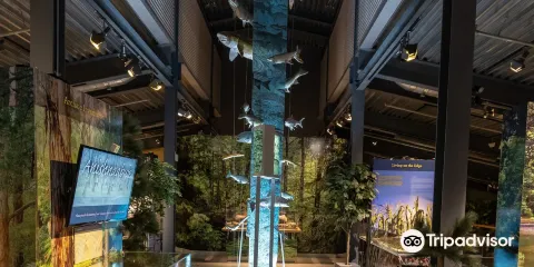 Bruce County Museum & Cultural Centre