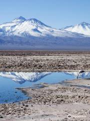 Salar de Atacama