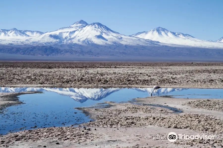 Salar de Atacama